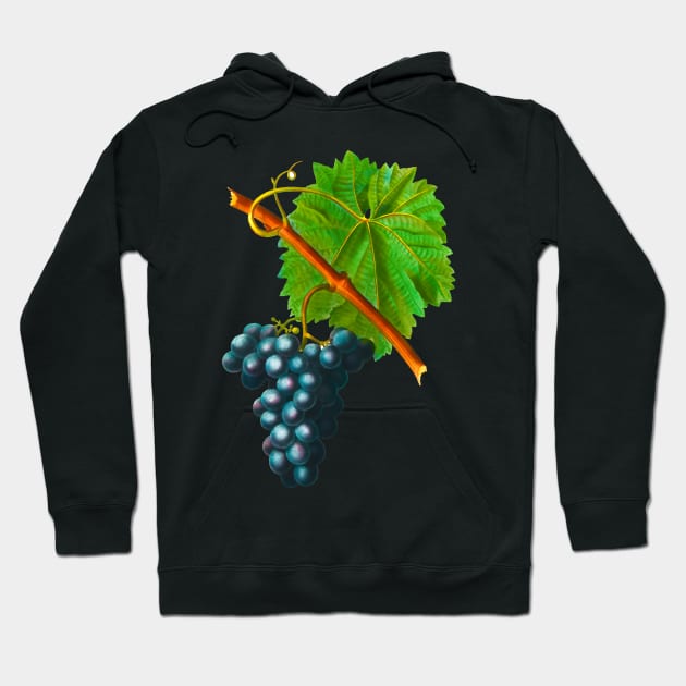 Bunch of grapes Hoodie by Marccelus